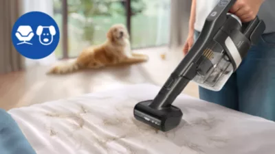 Idealno za vlasnike kućnih ljubimaca: jednostavno očistite svakodnevni nered